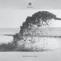 While You Are There (2LP)