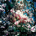 Fennesz / Daniell / Buck - Knoxville - LP Vinyl
