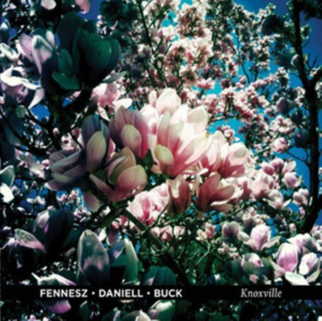 Fennesz / Daniell / Buck - Knoxville - LP Vinyl