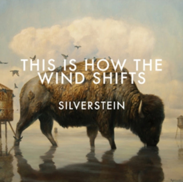 This Is How The Wind
