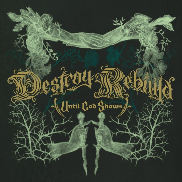 Destroy Rebuild Vinyl Record