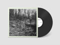 Topographies - Interior Spring - LP Vinyl