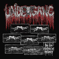 Undergang - De Syv Stadier Af FordÆRv - CD