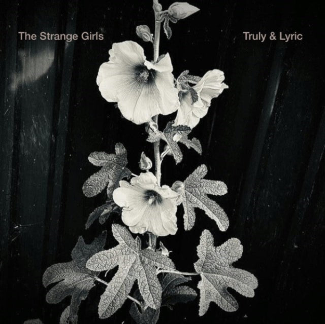Strange Girls - Truly & Lyric - 7 Inch Vinyl