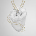 Vampillia - Alchemic Heart - LP Vinyl