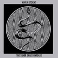 Silver Snake Unfolds (Blue & Black Galaxy LP Vinyl)