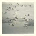 Snow Ghosts - And The World Was Gone - 12 Inch Vinyl