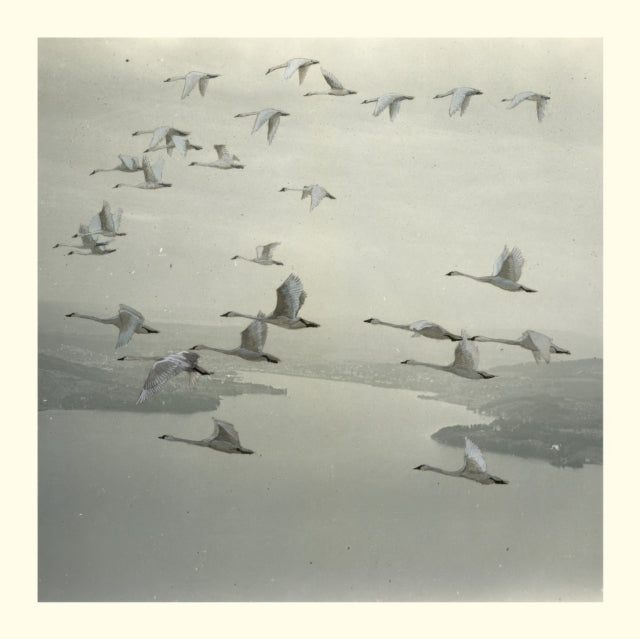 Snow Ghosts - And The World Was Gone - 12 Inch Vinyl