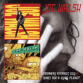 Joe Walsh - Ordinary Average Guy / Songs For A Dying Planet - CD