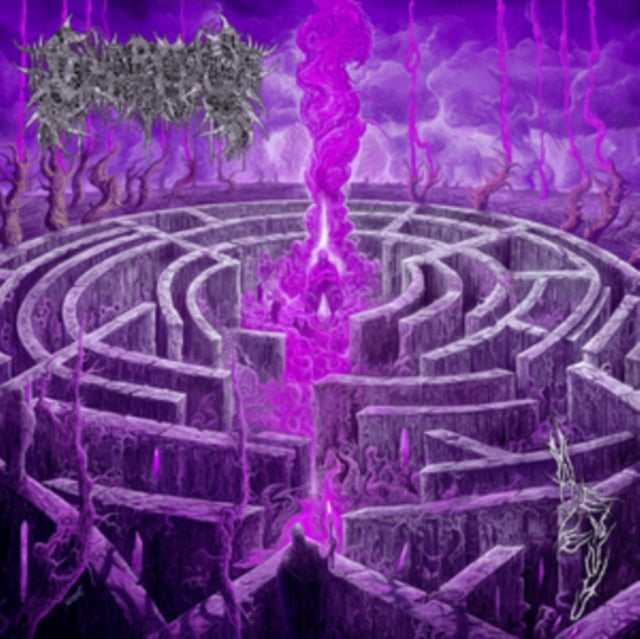 Civerous - Maze Envy - LP Vinyl