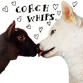 Coachwhips - Bangers Vs. Fuckers - LP Vinyl