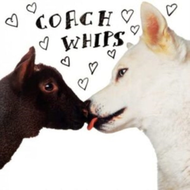 Coachwhips - Bangers Vs. Fuckers - LP Vinyl