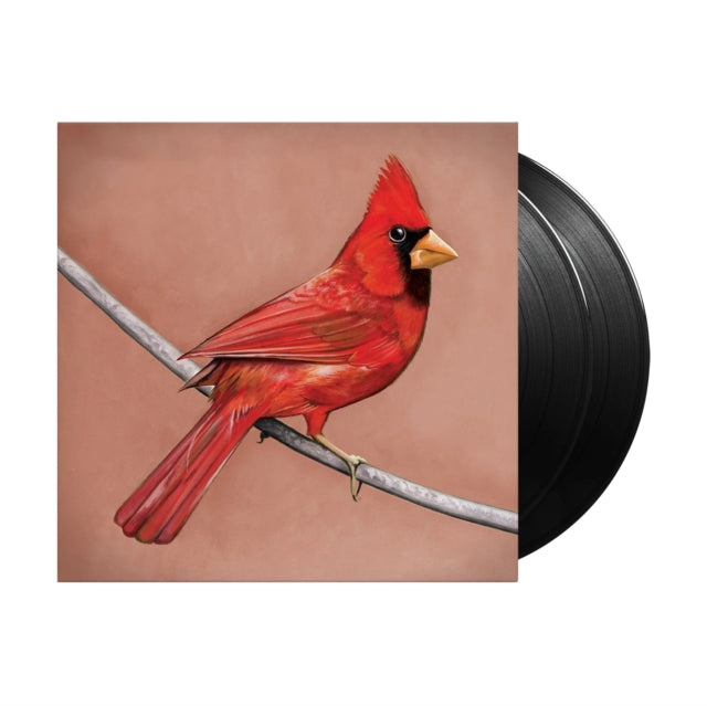Old Crows/Young Cardinals