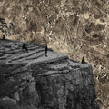 Esben & The Witch - Nowhere - LP Vinyl