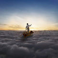 Pink Floyd - Endless River - LP Vinyl