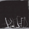 Appleseed (Clear & Black Smoke LP Vinyl)