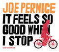 Joe Pernice - It Feels So Good When I Stop - LP Vinyl