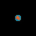 Chicago Transit Authority (Clear Red Vinyl/55Th Anniversary/2LP)