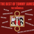 Tommy  & The Shondells James - Best Of Tommy James & The Shondells (Crimson Red Audiophile LP Vinyl/Limited)