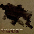 Elliott Brood - Mountain Meadows - LP Vinyl