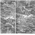 Aeolus - Retrospective - LP Vinyl