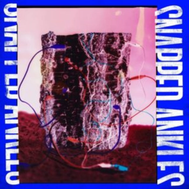 Snapped Ankles - Forest Of Your Problems - CD