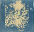 Shores Of Avarice