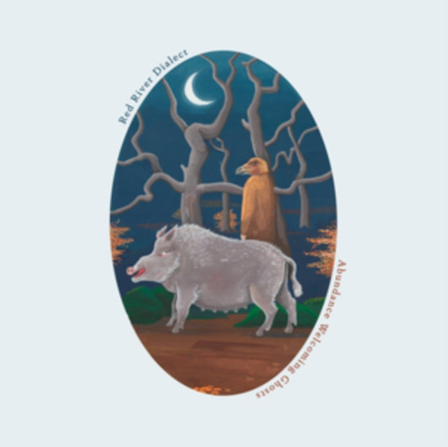 Abundance Welcoming Ghosts Vinyl Record