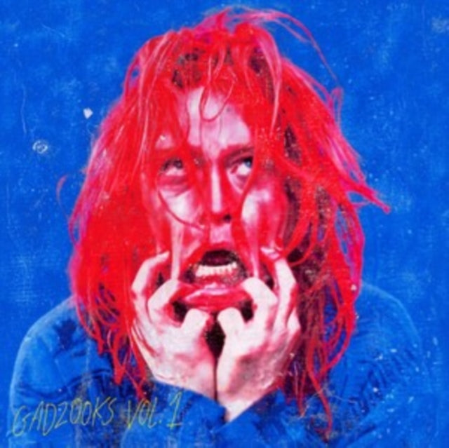 Gadzooks: Vol. 1 (Red LP Vinyl) & Hey Gary, Hey Dawn (Jade Eco Mix LP Vinyl)