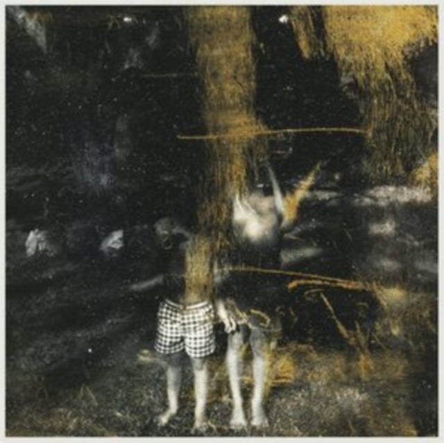Voids (2LP)