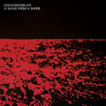 Disassembler - Wave From A Shore - CD