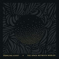 Space Between Worlds
