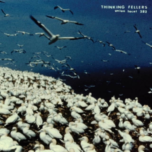 Thinking Fellers Union Local 282 - These Things Remain Unassigned (2LP)