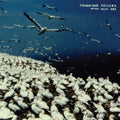 Thinking Fellers Union Local 282 - These Things Remain Unassigned (2LP)