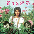 Aselefech & Getenesh Kebret Ashine - Beauties - LP Vinyl