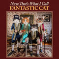 Fantastic Cat - Now That's What I Call Fantastic Cat - LP Vinyl