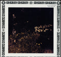 Sarah Davachi - Pale Bloom - LP Vinyl