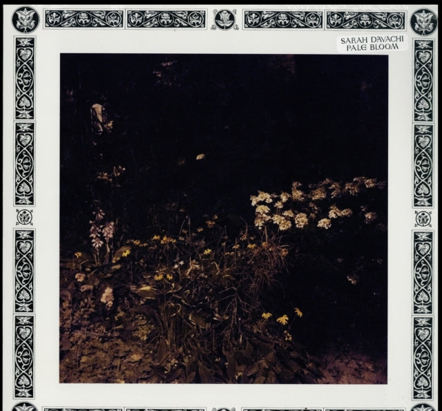 Sarah Davachi - Pale Bloom - LP Vinyl