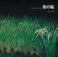 Reiko Kudo - Rice Field Silently Riping In The Night - LP Vinyl