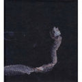 Maaaet (2LP)