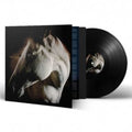 Brother Dege - How To Kill A Horse - LP Vinyl