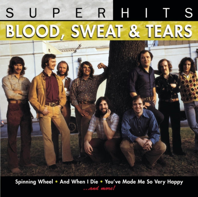 Super Hits & Blood Sweat & Tears