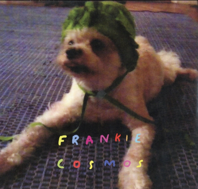 Frankie Cosmos - Zentropy - LP Vinyl