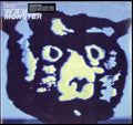 Monster (2 LP)
