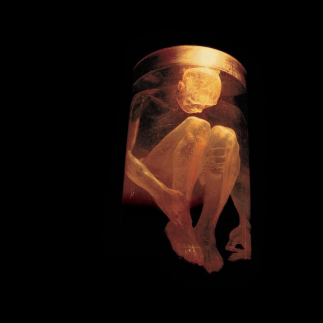 Dirt & Jar Of Flies & Essential Alice In Chains & Live & Nothing Safe: Best Of The Box & Facelift & Alice In Chains