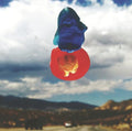 Bully - Feels Like - CD
