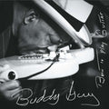 Born To Play Guitar (2LP/150G/Gatefold)