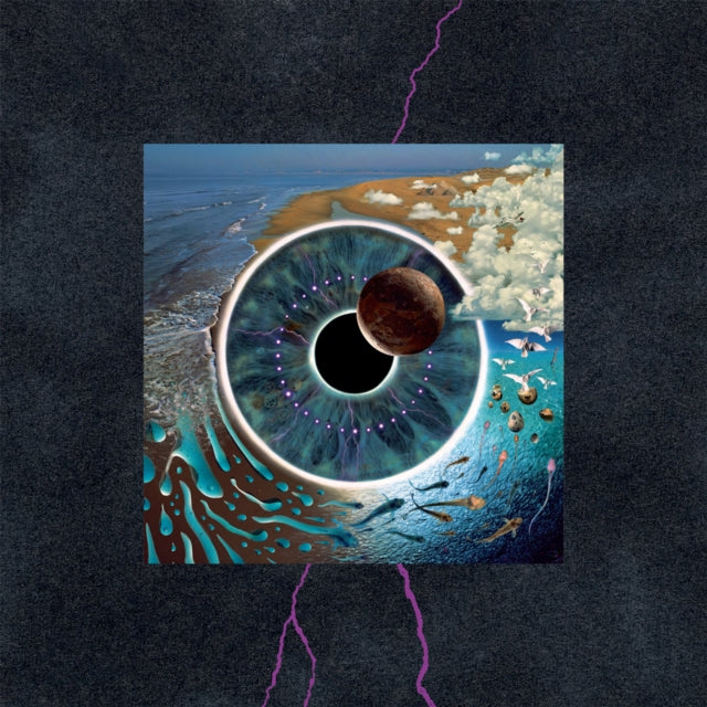 Delicate Sound Of Thunder (3LP) & Piper At The Gates Of Dawn (Mono Version) & Saucerful Of Secrets (Mono/180G) & Meddle (180G/Gatefold/2016 Version) & Pulse (180G/4LP/52 Pp Book)