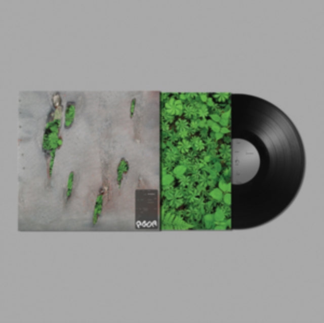 Koreless - Agor - LP Vinyl
