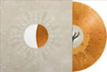 Had To Know Single (Orange W/ Cloudy Orange Splatter Vinyl/Glow In The Dark Packaging)
